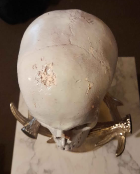 Top view showing aged and distressed finish to decorative skull